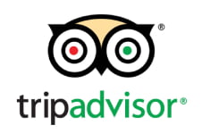 thetripadvisor